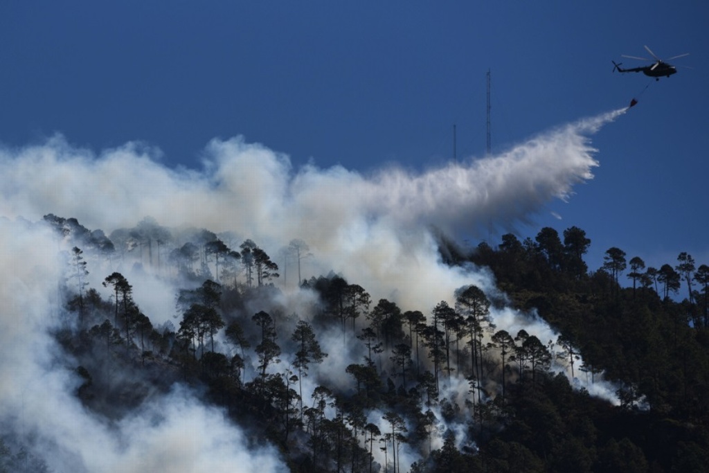 Incendio Forestal Afecta Entre A Hect Reas En Ejidos De