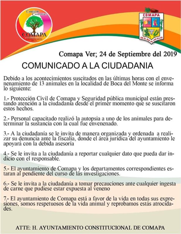 Reportan envenenamiento masivo de perros y gatos en Comapa, Veracruz