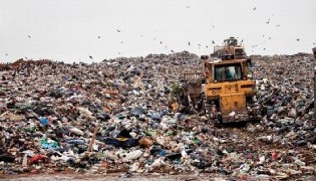 Imagen Tira México a la basura 20 millones de toneladas de alimento al año: Banco Mundial