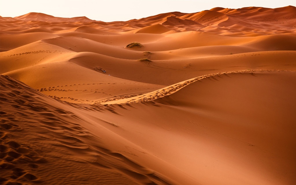 Imagen Cubre nieve desierto del Sahara (+Fotos)