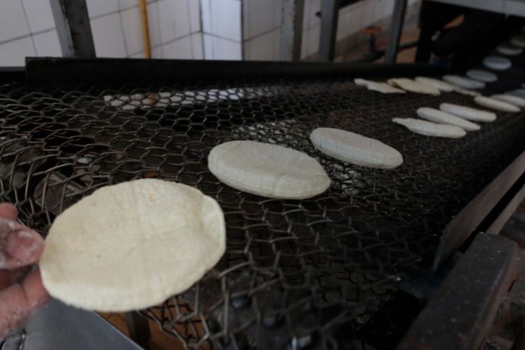 Imagen El precio de la tortilla en Veracruz entre 10 y 18 pesos