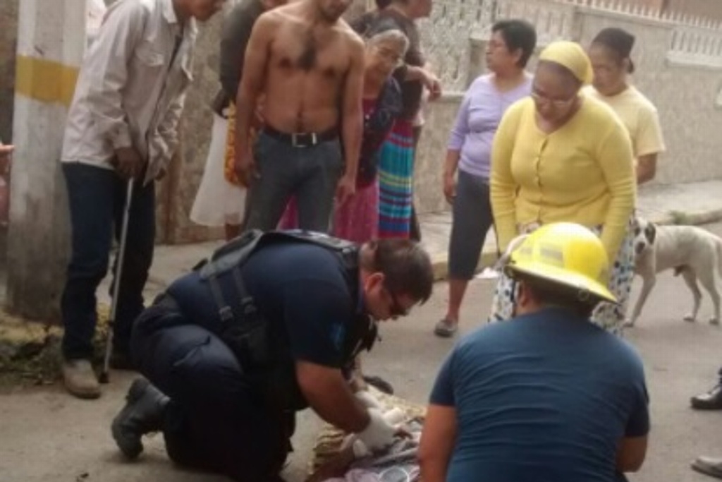 Imagen Atropella camión de gasera a señora en El Tejar, Veracruz
