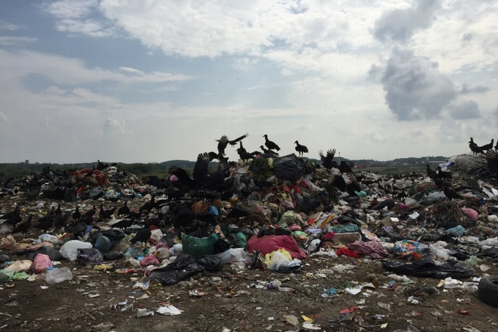Imagen Hallan cuerpo de una mujer en el basurero municipal de Veracruz, confirma el alcalde