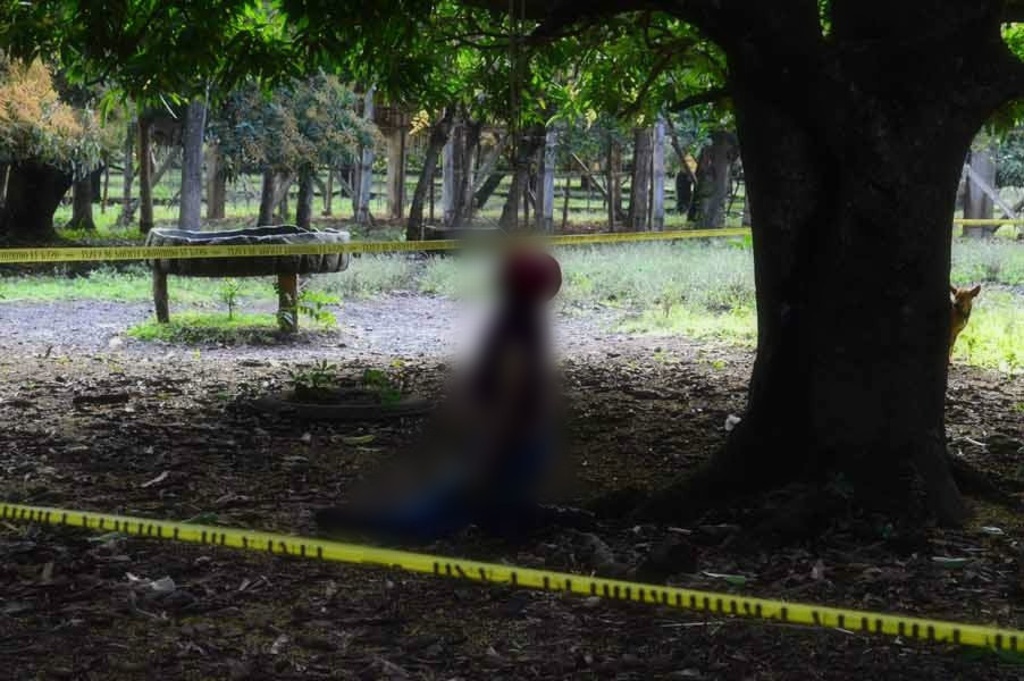 Imagen Hallan a un hombre colgado de un árbol en San Andrés Tuxtla