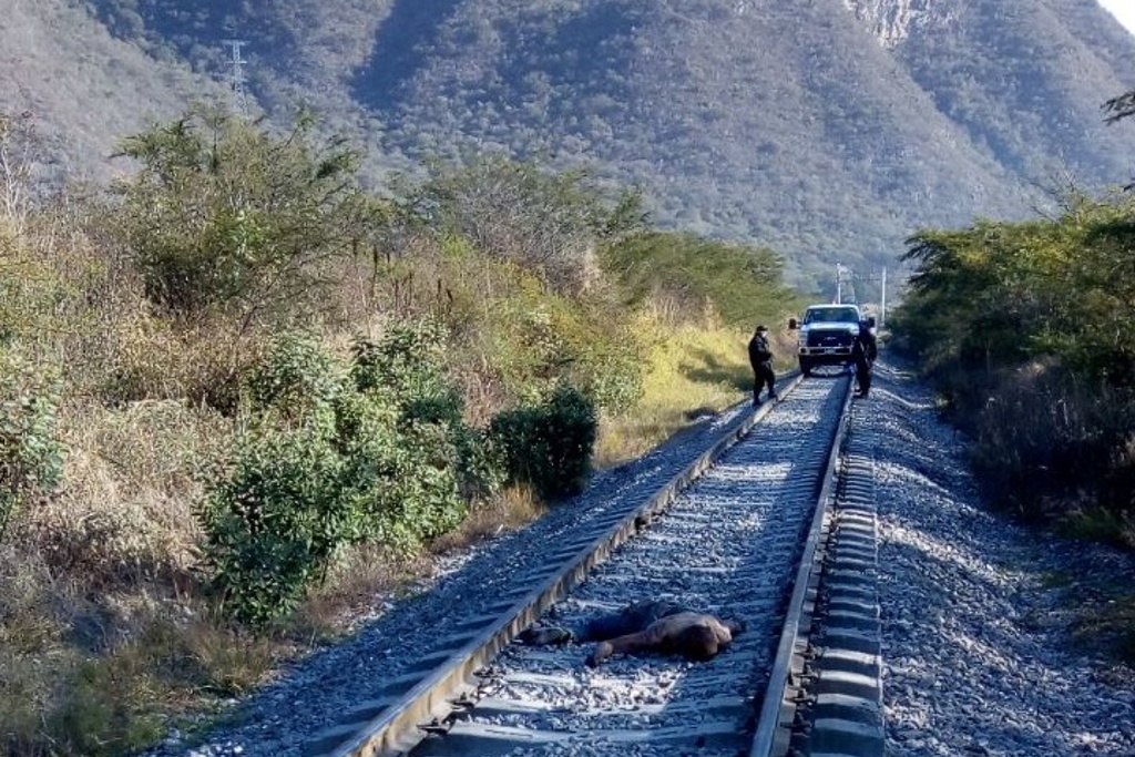 Imagen Hallan hombre sin vida sobre las vías del tren Nogales