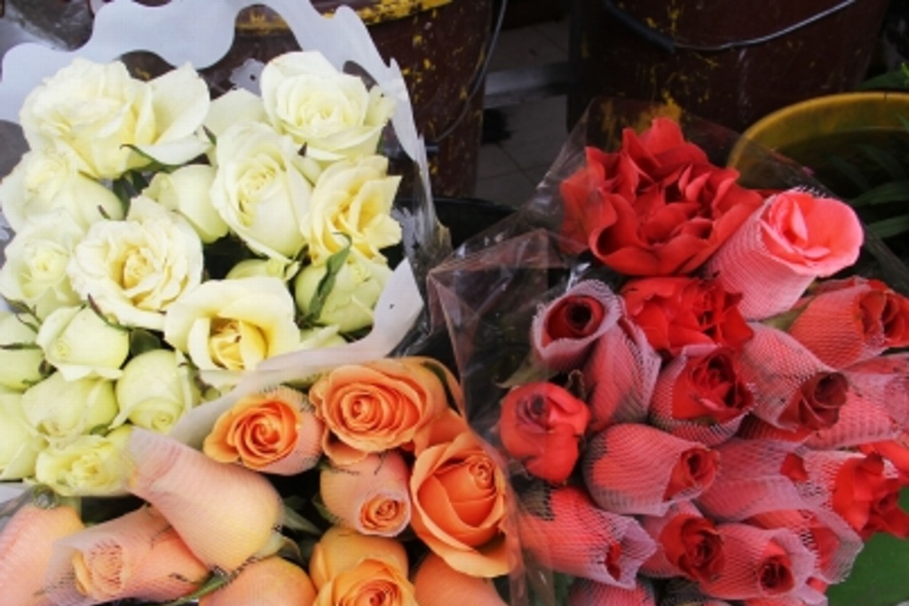 Imagen Estadunidenses disfrutarán flores latinoamericanas en San Valentín