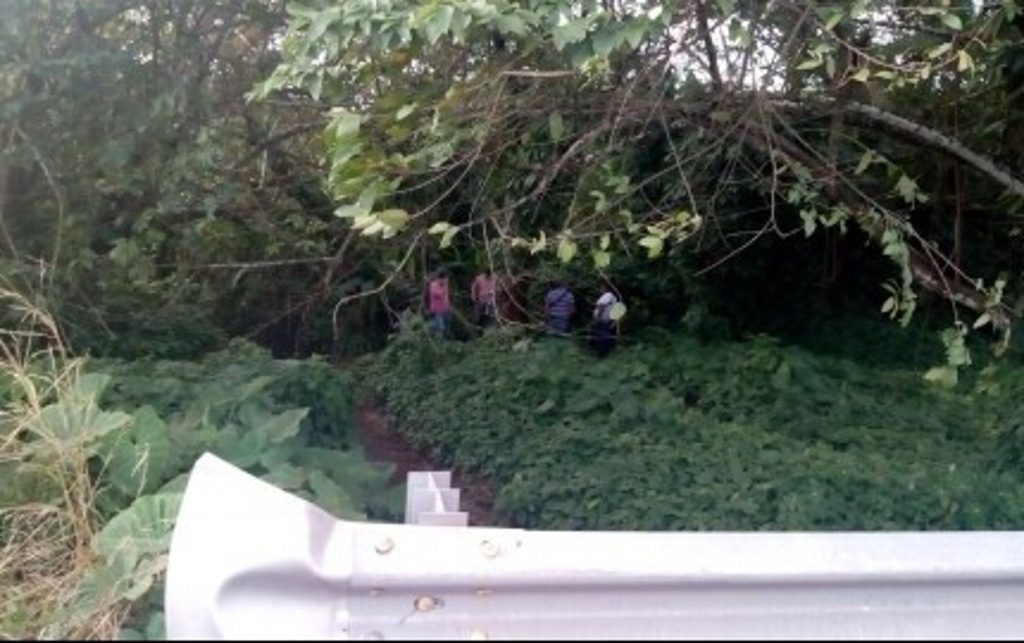 Imagen Encuentran 5 cadáveres en fosa clandestina en el sur de Veracruz