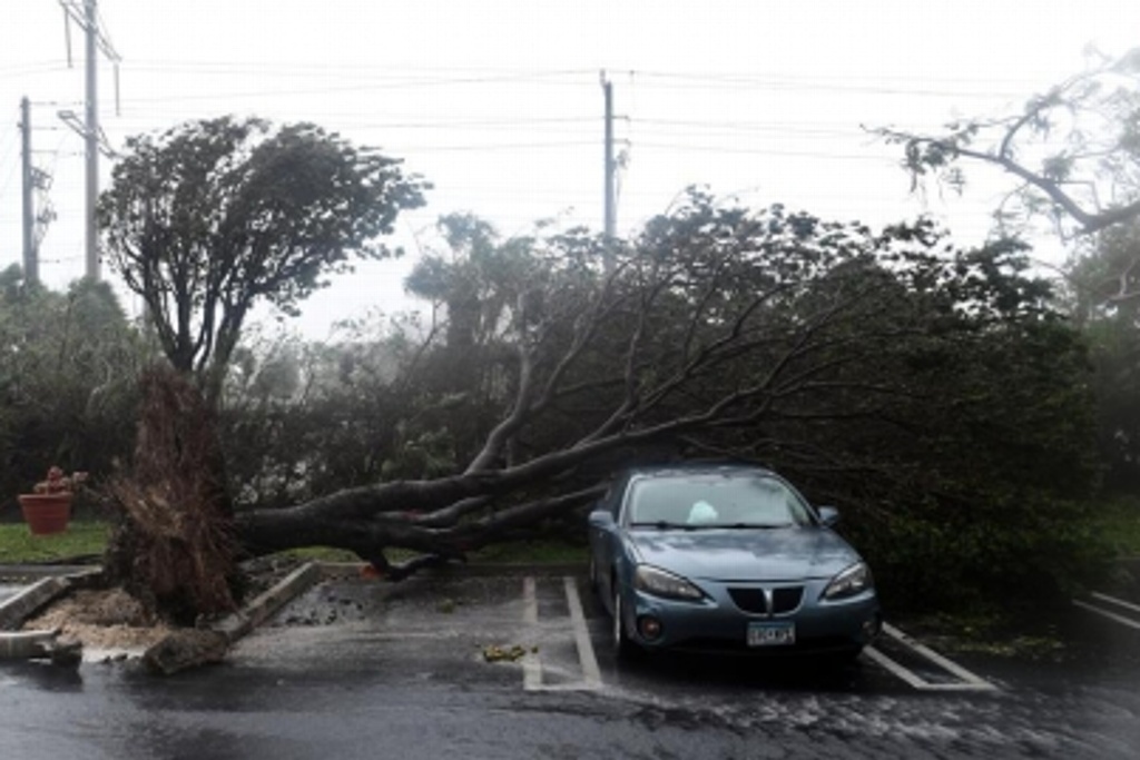 Imagen Ciclón Gita se degrada a tormenta tropical a su paso por Nueva Zelanda