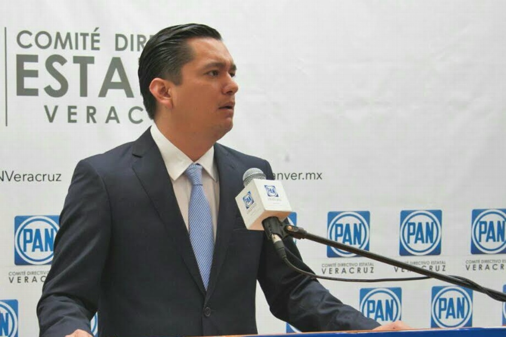 Imagen ¿Quiénes son los candidatos del PAN al Senado y a Diputados federales plurinominales por Veracruz?
