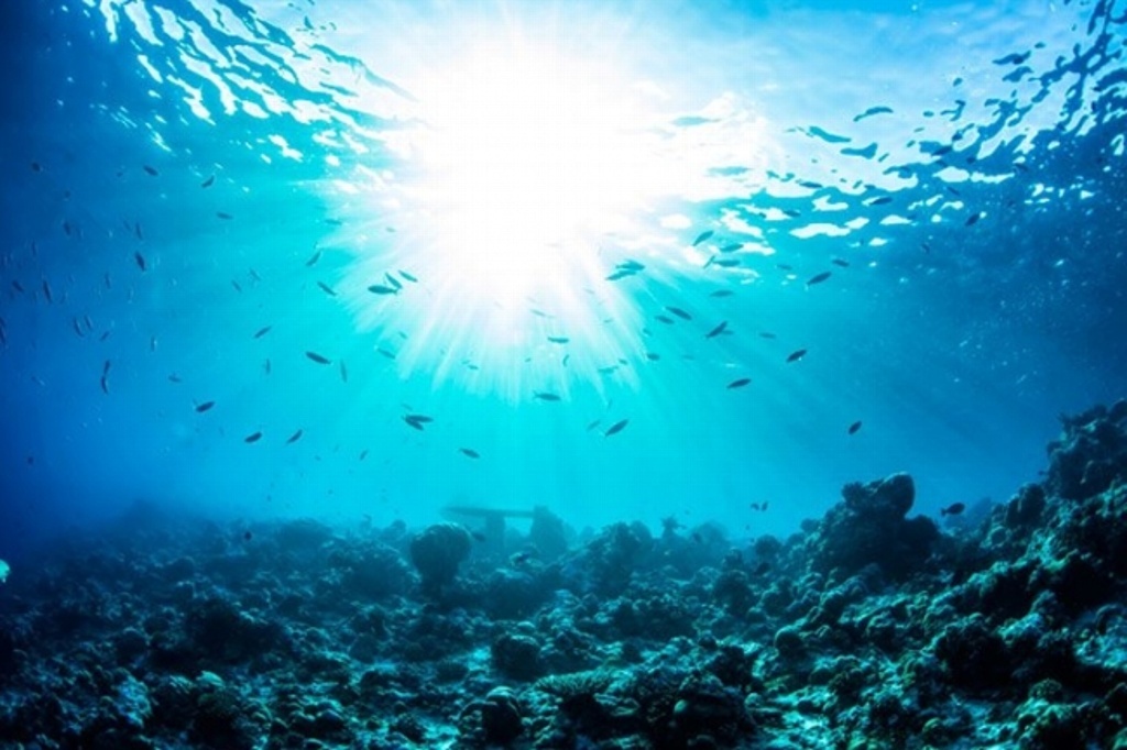 Imagen Captan océanos más de 200 kilos de basura cada segundo