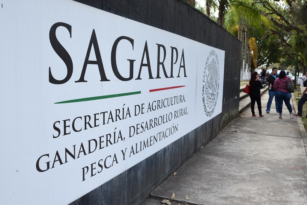 Imagen Sagarpa entrega recursos del 2017; asegura que repondrán apoyos perdidos