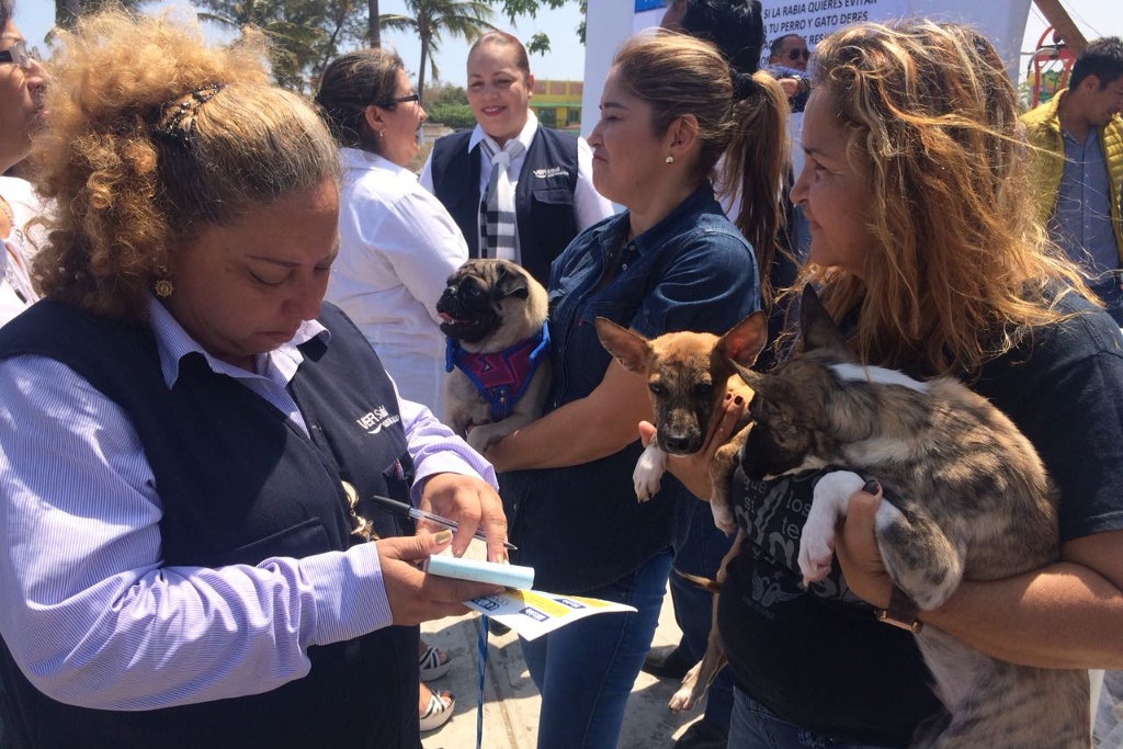 Imagen Arranca Semana Nacional de Vacunación Antirrábica Canina y Felina