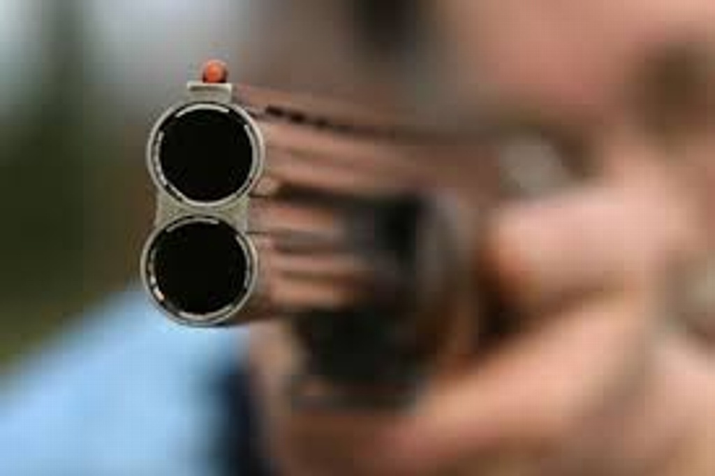 Imagen Tras intento de asalto en Sonora, le disparan a mujer estadounidense en la mejilla