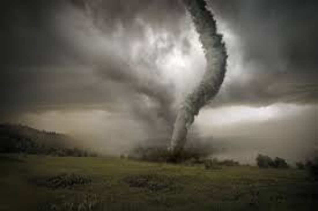 Imagen Emiten alerta por tornado en Jacksonville 