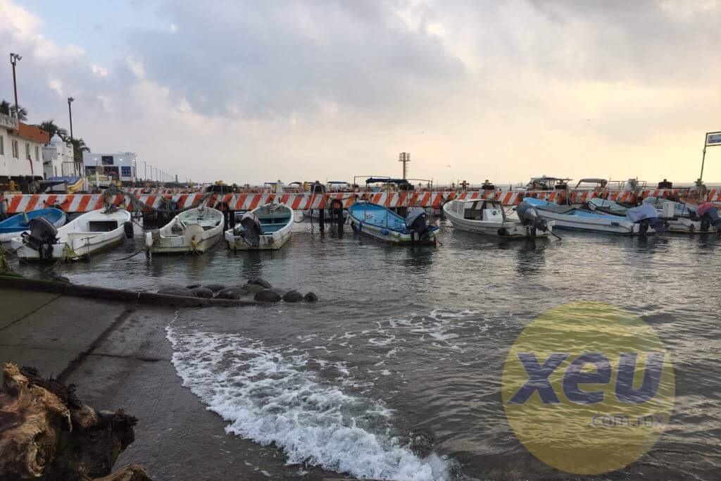 Imagen La pesca en Veracruz ha caído 35 por ciento en 10 años: Especialista