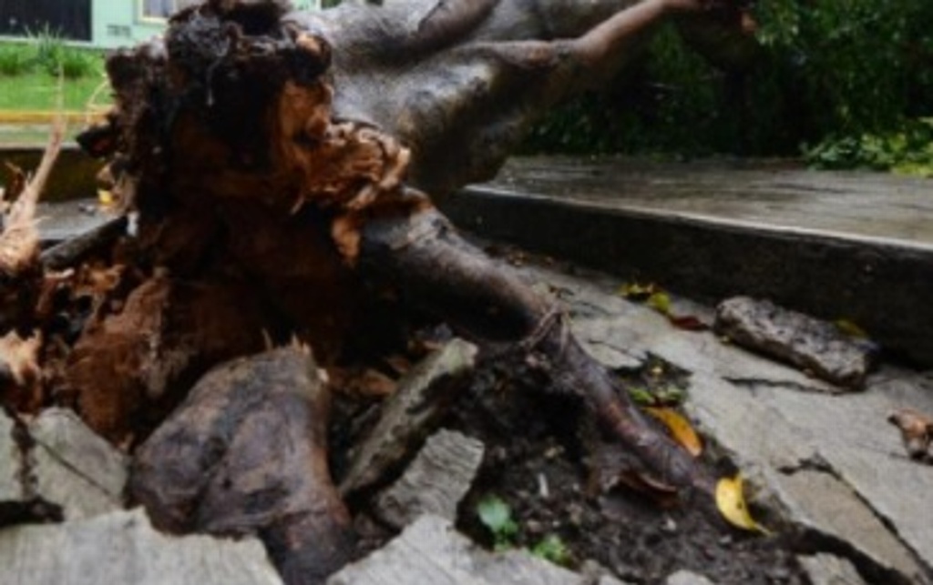 Imagen Confirma PC afectaciones por lluvias en Espinal, Veracruz