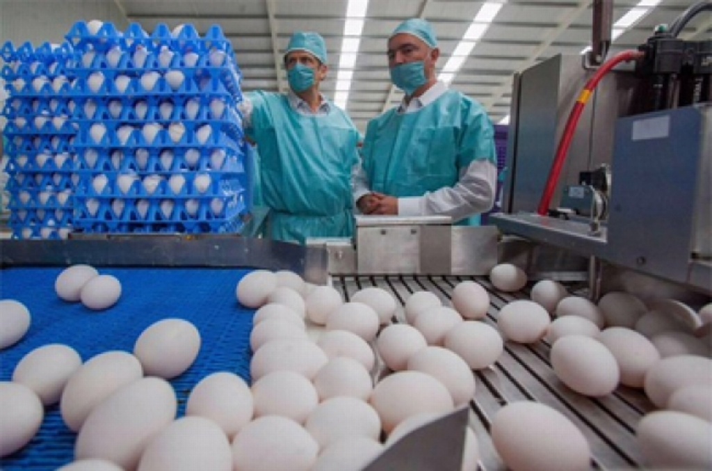 Imagen Retiran más de 200 millones de huevos en EU; podrían tener salmonela 