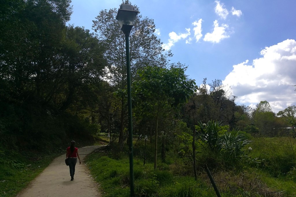 Imagen Santuario de las Garzas de Xalapa podría ser un parque: IMM