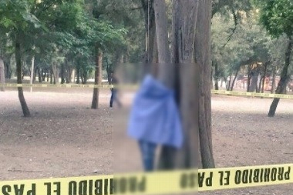 Imagen Hallan a joven muerto colgado de un árbol cerca del Paseo de la Reforma