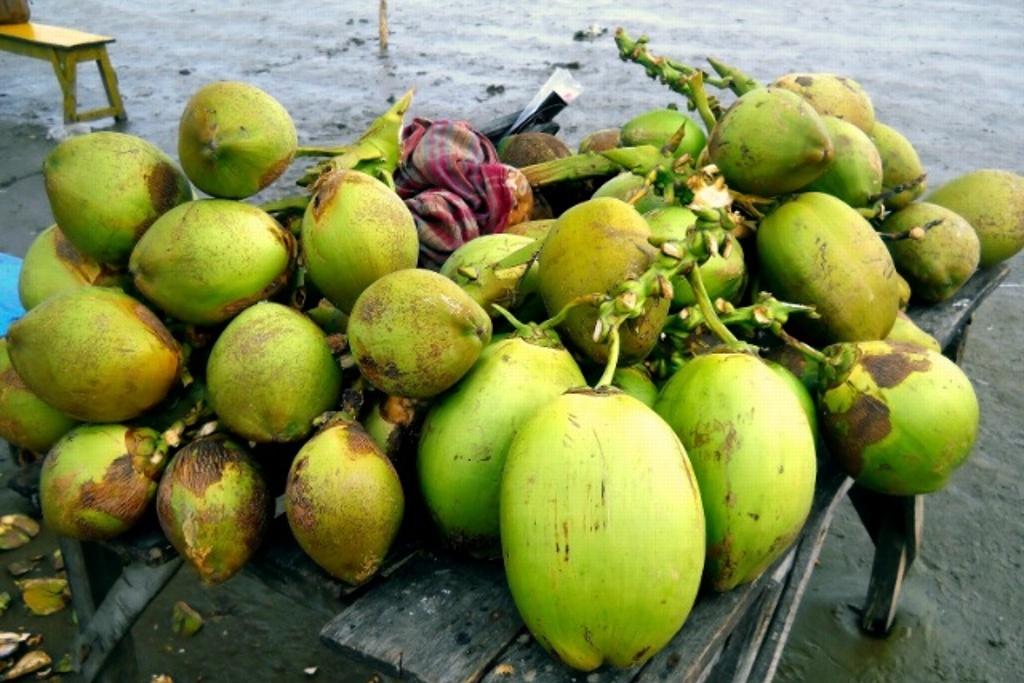 Imagen Javier Duarte quedó a deber 7 mdp de plantas de coco