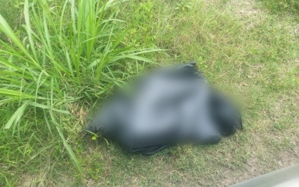 Imagen Hallan bolsa negra con restos humanos en carretera Córdoba-Veracruz