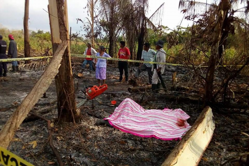 Imagen Muere joven al caerle un árbol en Zaragoza, Veracruz