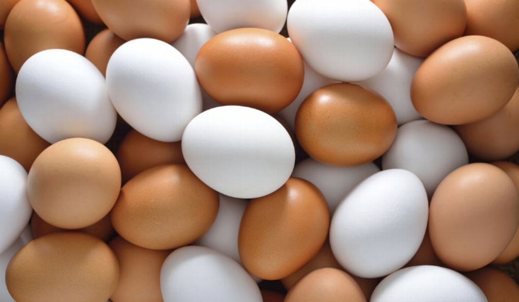 Imagen Aumento al precio del huevo no es por influenza aviar: Sagarpa