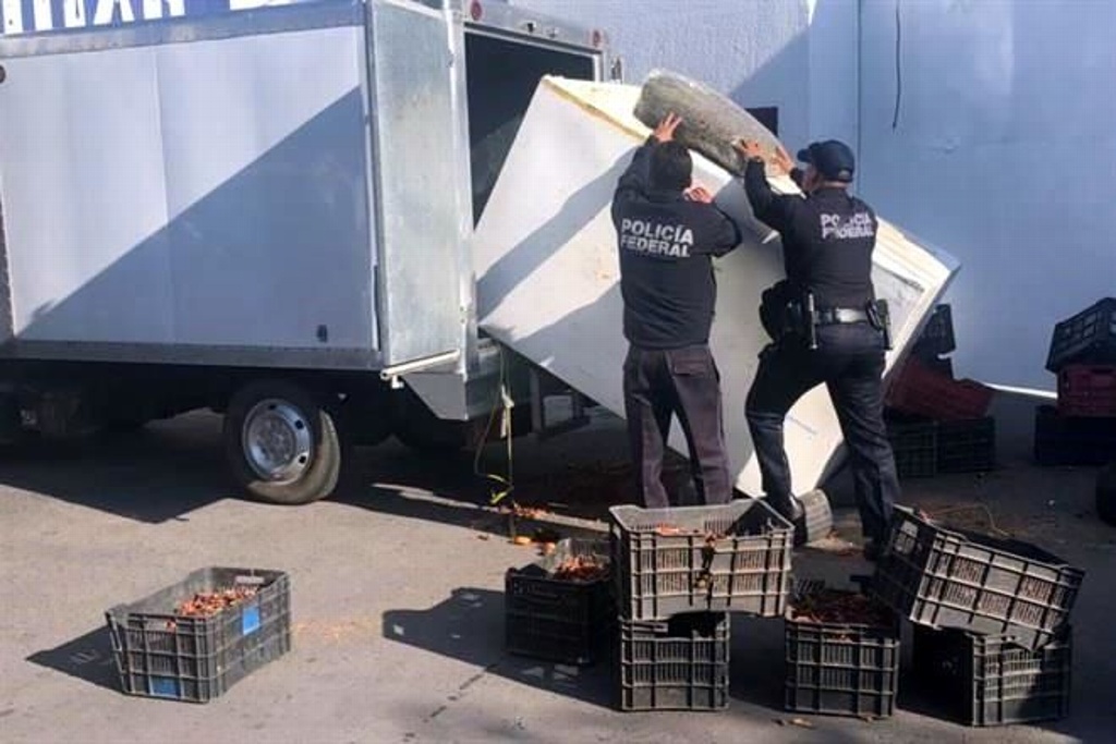 Imagen Encuentra Policía Federal 350 kilos de marihuana en camión que transportaba chiles