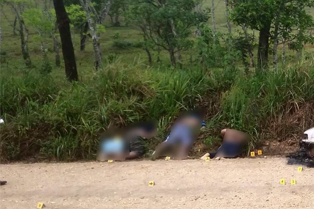 Imagen Hallan tres ejecutados en San Juan Evangelista, Veracruz 