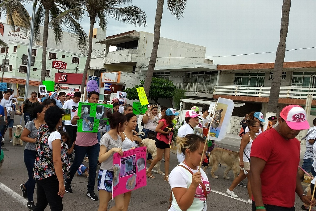 Imagen Realizan marcha contra maltrato animal en Veracruz
