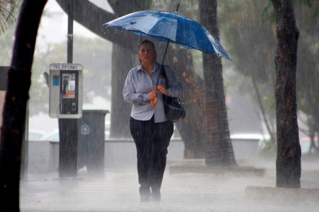 Imagen Alerta Gris por temporal lluvioso en Veracruz; podría persistir hasta el jueves