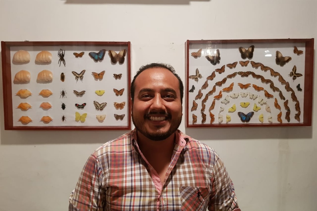 Imagen Muestran en café-galería de Veracruz la exposición “Bichos” (+fotos)