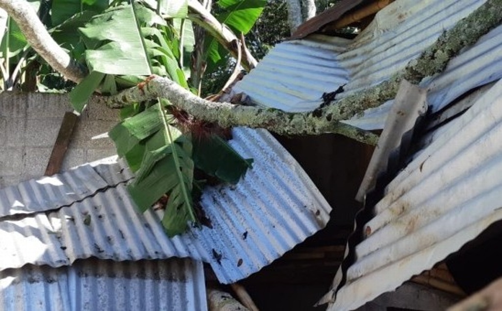 Imagen Tromba en zona centro de Veracruz deja daños en viviendas y sembradíos