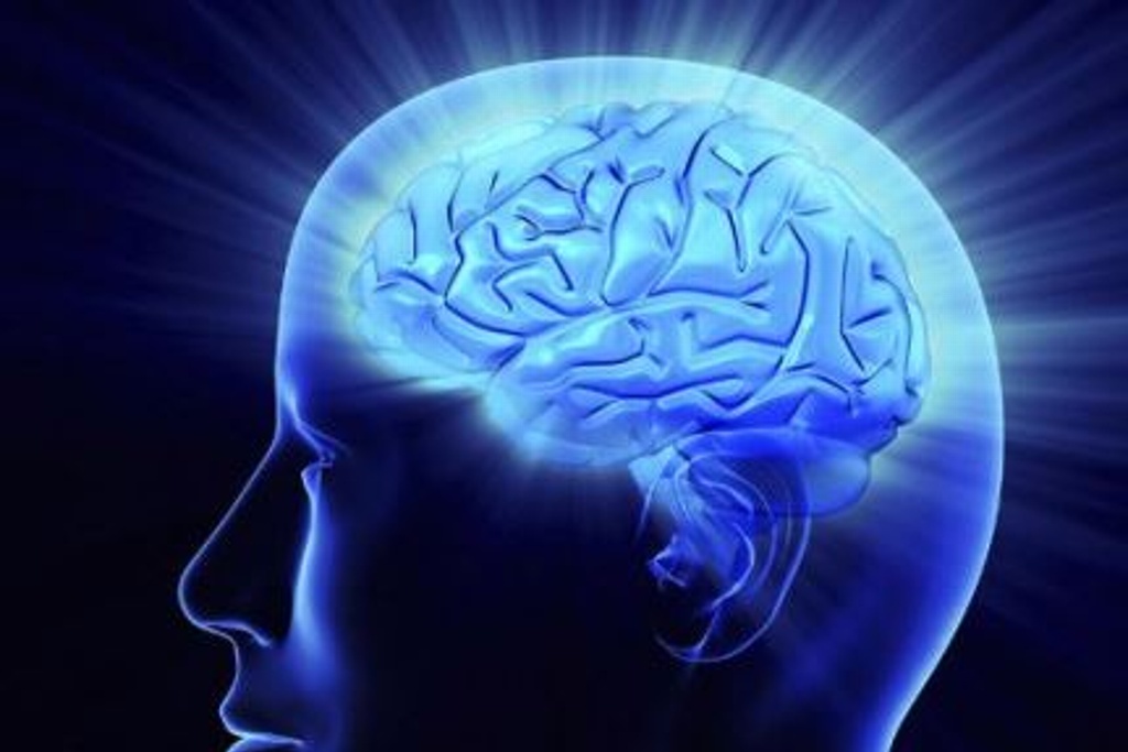 Imagen Mantener activo el cerebro ayuda a prevenir enfermedades neurológicas: Especialista