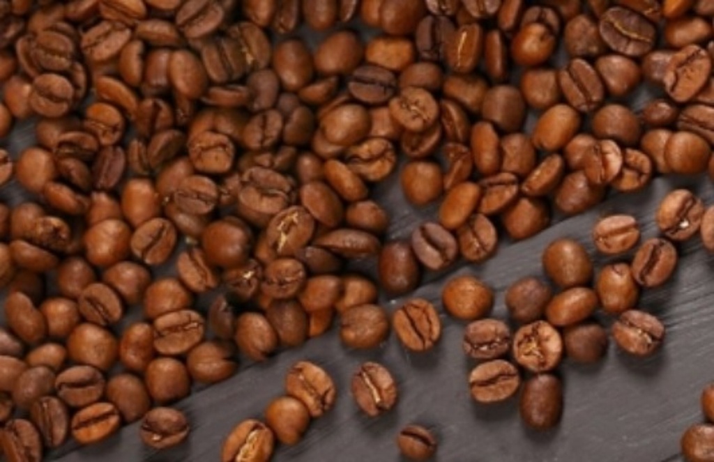 Imagen Elevar calidad del café producido en Veracruz requiere de cortadores expertos: catadora