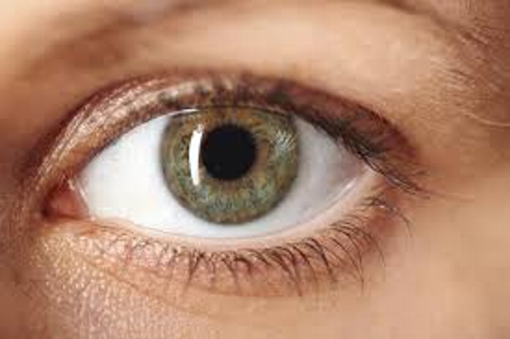Imagen Síndrome de ojo seco afecta a 20 % de la población