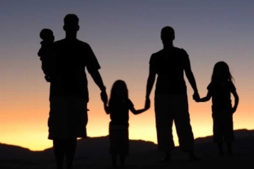 Imagen La familia, un modelo que abarca a la diversidad: especialista