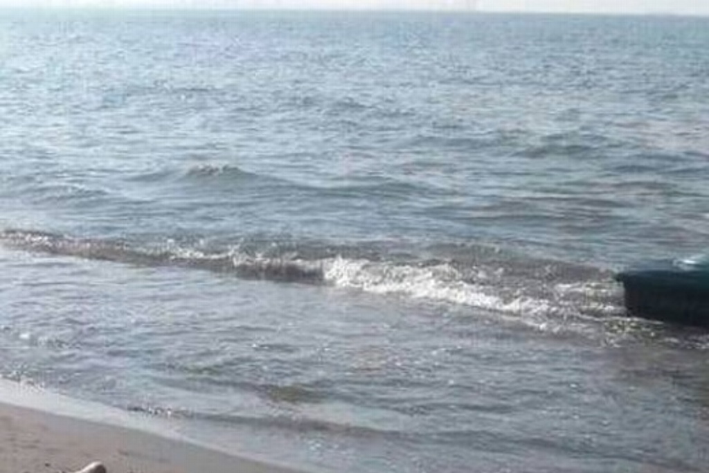 Imagen Turista polaco muere ahogado en Alvarado, Veracruz