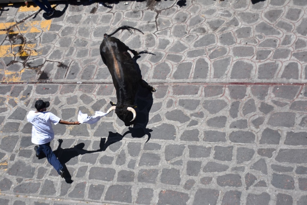 Imagen Saldo blanco en las fiestas de Xico, reportan autoridades