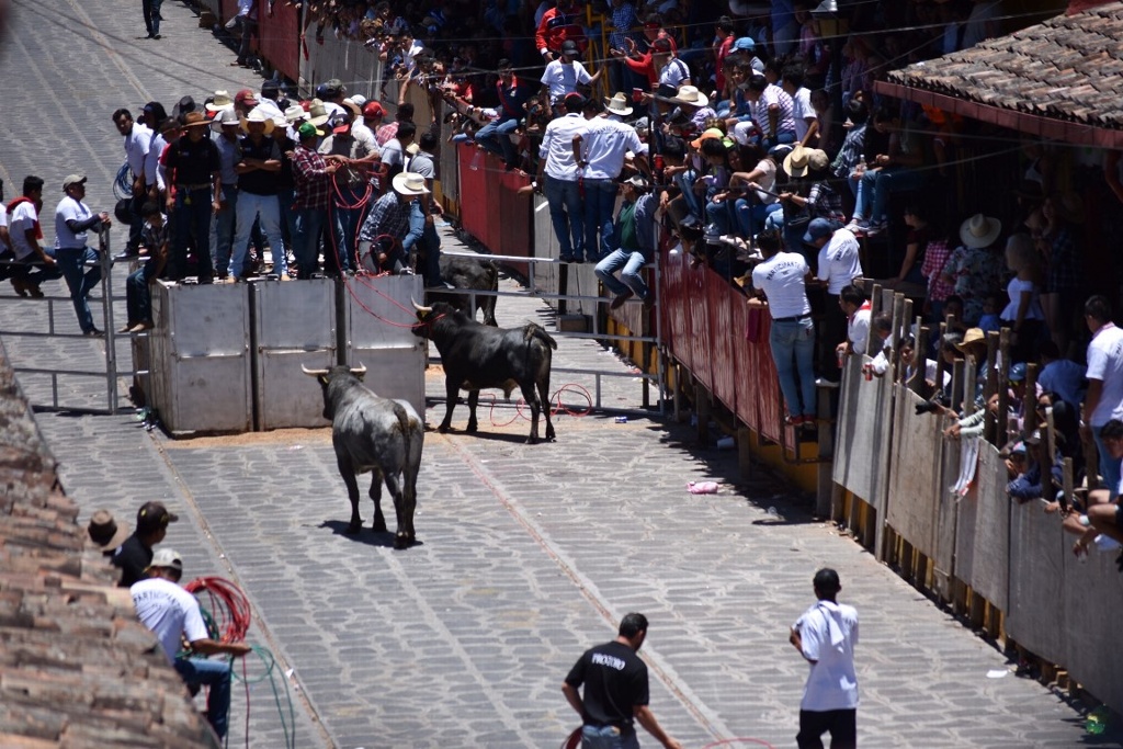 Imagen Detienen a organizadores de corrida de toros en Xico, Veracruz