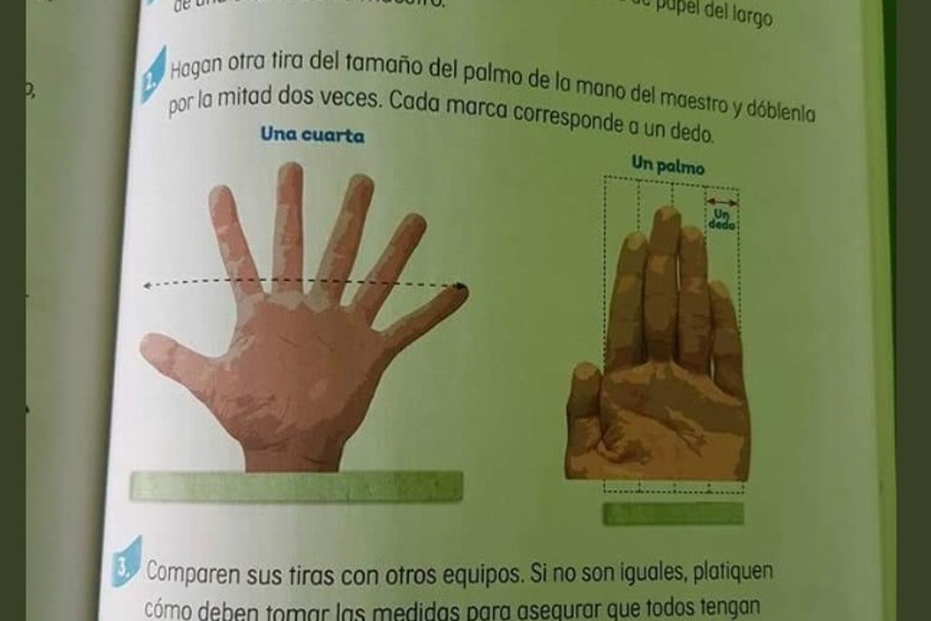 Imagen Detectan errores en nuevos libros de la SEP; entre ellos ¡una mano con 6 dedos!