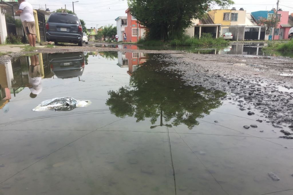 Imagen Viven entre aguas negras y malos olores en colonia de Veracruz (+video)