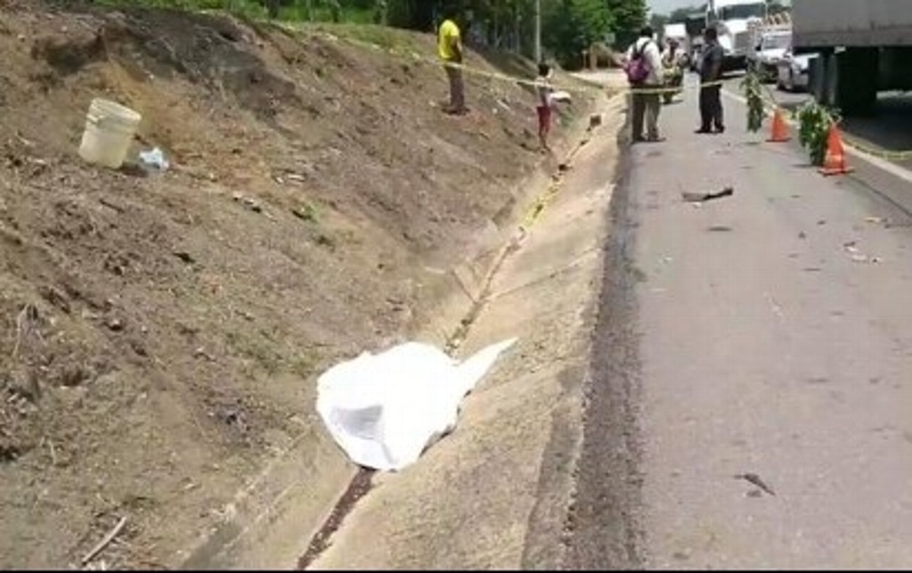 Imagen Rapiña luego de que tráiler arrollara a dos motociclistas en el sur de Veracruz 