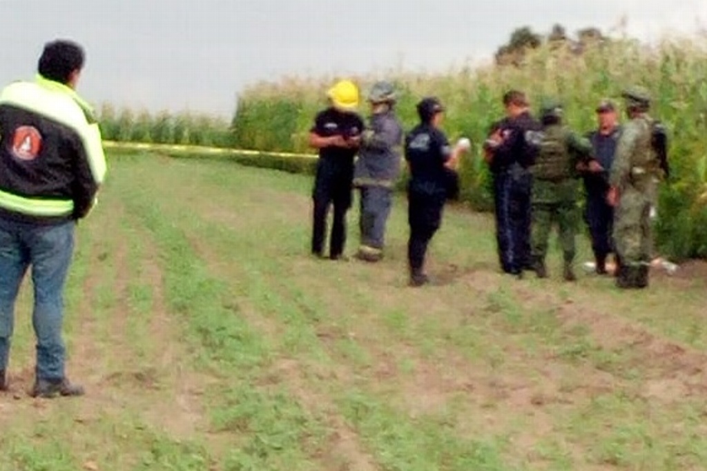 Imagen Avioneta aterriza de emergencia en Puebla; hay tres lesionados