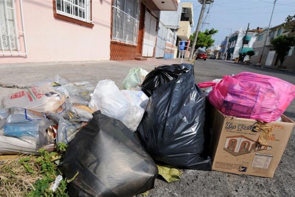Imagen Empresas recolectoras de basura deben empadronarse para operar en Xalapa: Alcalde