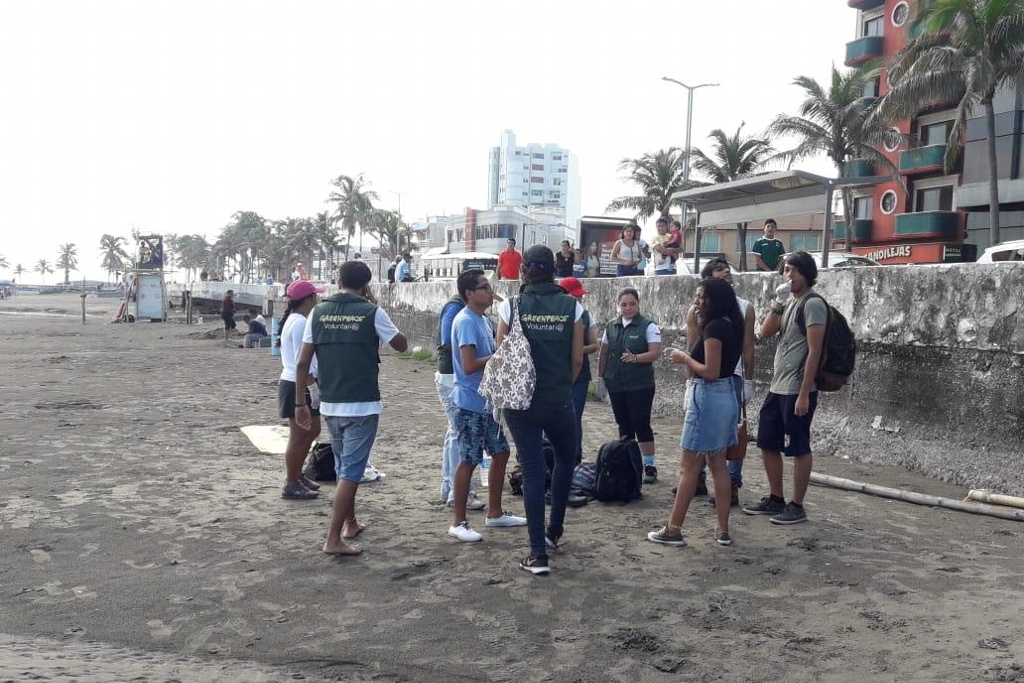 Imagen Greenpeace realiza limpieza en playa de Veracruz 