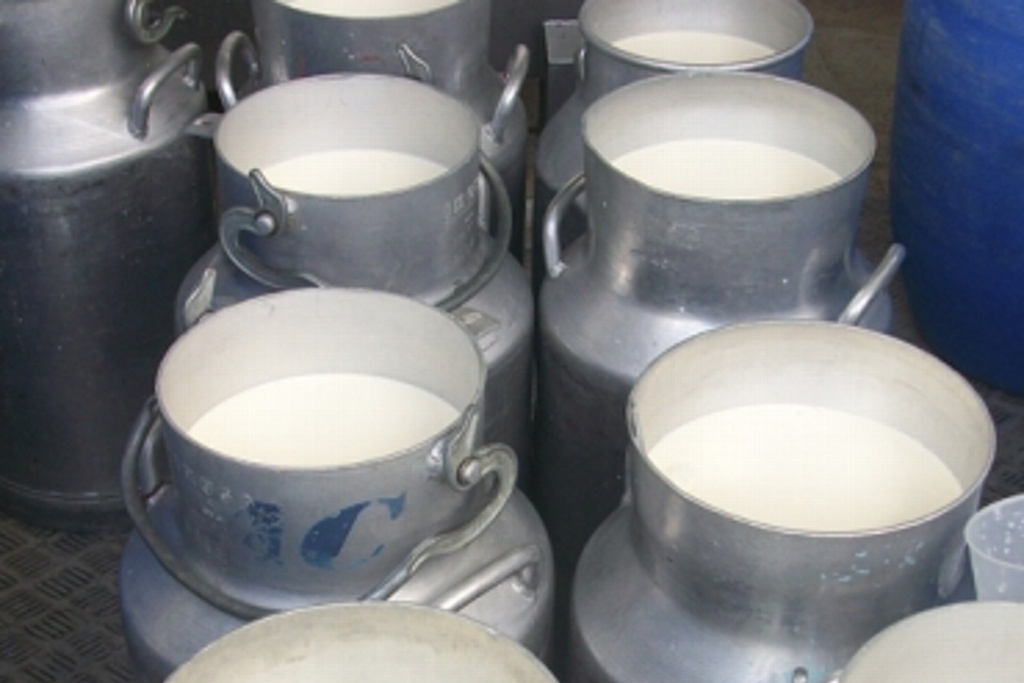 Imagen Liconsa dejará de comprar dos millones de litros de leche a productores veracruzanos