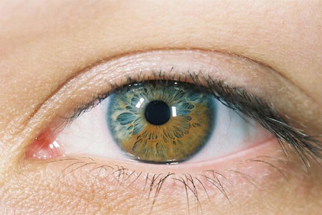 Imagen Afirma estudio que ojo humano puede ver “imágenes fantasma”