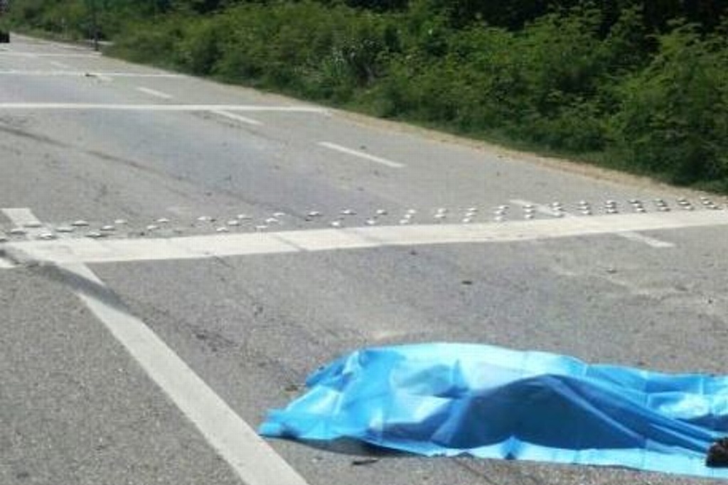 Imagen Deja 4 muertos choque en carretera Córdoba-Veracruz, a la altura de Cuitláhuac