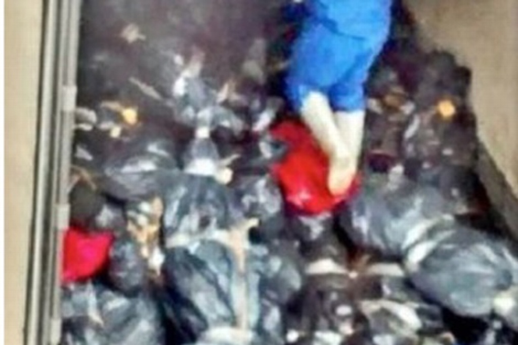 Imagen Se derrama líquido del contenedor del tráiler con cuerpos, revelan testigos 